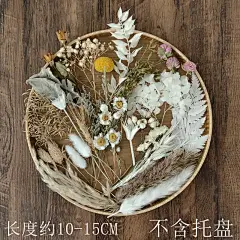 【复古风干花材料】短枝真植物标本相框贺卡花环胸花装饰diy手作-tmall.com天猫