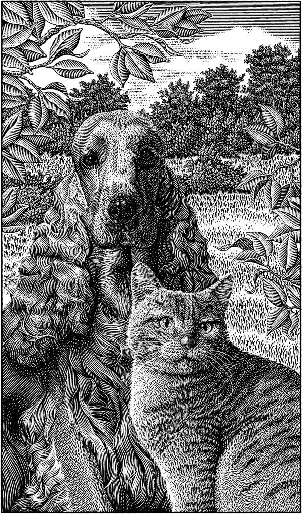 动物系列版画-Halbert作品欣赏[1...