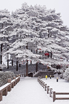 洫脃汐陽采集到雪景