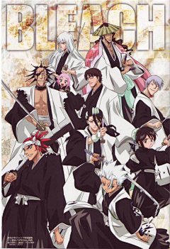 枫翔小妖_嗡采集到死神 BLEACH