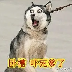 #二哈#撕逼大战表情包】贱萌贱萌的好喜欢#搞笑#QQ表情#逗比