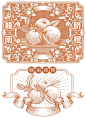 包装插画 | 赣南脐橙 - 小红书