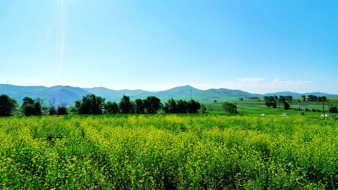 河北 张家口 张北县 草原天路