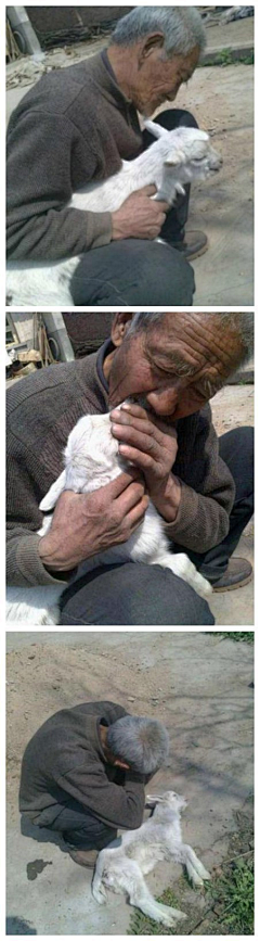 桑戈采集到而