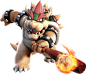 img-koopa.png (1123×980)