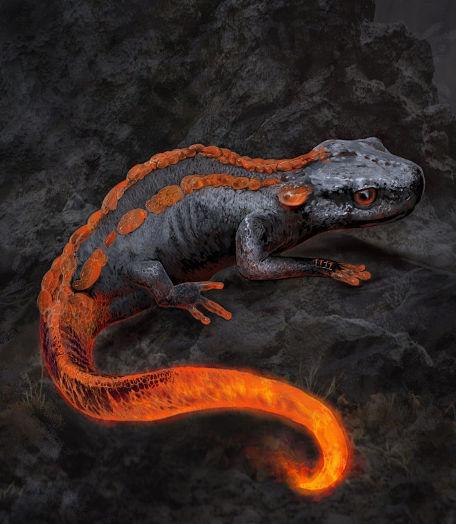 salamander2, Denis R...