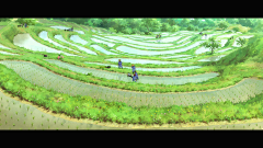 云间MAE采集到地形