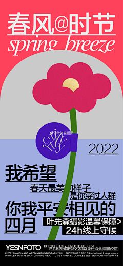 墨暖211采集到版式集合