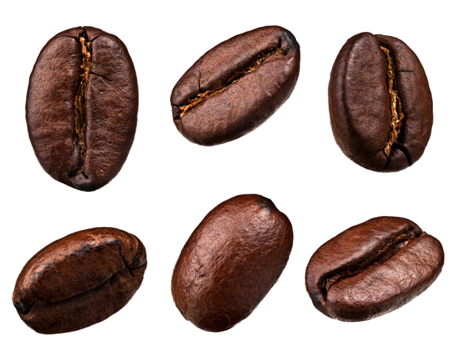 咖啡豆png