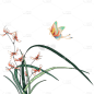 国风花卉系列插画-兰花