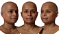 80 x New HD Head Scans