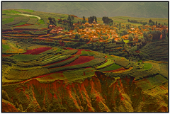 蕉雨落红叶采集到风景。美图。