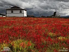 胡劲松摄影作品 藏乡故事壁纸40507_世界风光壁纸_风景风光类_图库壁纸_联盟素材