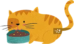 猫咪正版高清图片下载-视觉中国VCG.COM