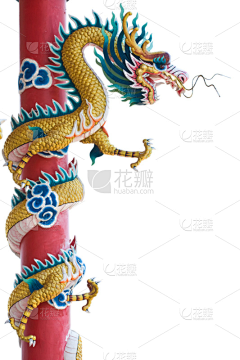 花瓣素材-动植物图片采集到鸟类