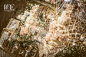 金粉色奢华婚礼|Versailles Garden-来自微致文化婚礼企划客照案例 |婚礼时光