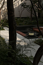 “小“庭院里的“大” 自然，金茂西安璞逸曲江示范区 / MIND STUDIO迈德景观 – mooool木藕设计网