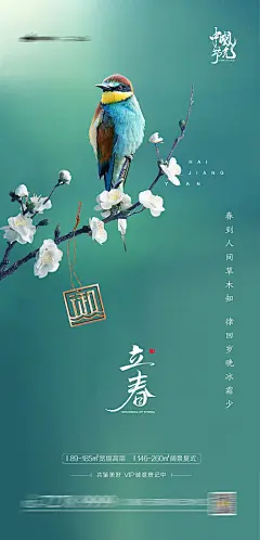 【源文件下载】 海报 房地产 二十四节气 立春 311561