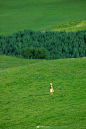 #摄影（风景-山水-建筑）#