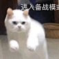 考试专用表情包 - 堆糖