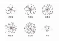 樱花简笔画 花瓣_百度图片搜索
