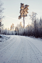 more winter road