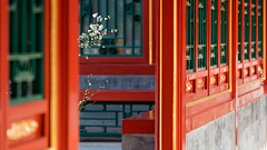 渡伶采集到故宫