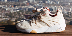JODIEblog采集到品牌 | PUMA