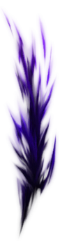 SF4_dds_0252