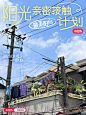 阳台是生活热情的缩影｜全国最美阳台征选中