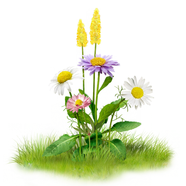 虚假截图U