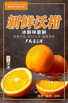 橘子海报   【酷图网】橘子海报,桔子海报,桔子广告,柑橘,橘子采摘,桔子,金橘,橘子宣传单,橘子水果,新鲜橘子,桔子包装,橘子水果画册,橘子基地画册,橘子图片,橘子展板,橘子挂画,橘子基地,橘子画册,水果店橘子,橘子展架,橘子包装,金橘海报,金桔海报,皇帝柑海报,沃柑海报,水果超市海报,水果海报,超市包柱,