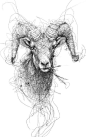 2015·羊~[多作者组图]