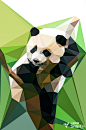 三棱印象（SnapTri）出品
详情关注微博：http://weibo.com/snaptri(  每日更新)
关注公众账号：-三棱印象-或-SnapTri-(每日更新,并可回复获得无水印图片)
更多三棱化图片，尽在@SnapTri
#熊猫# #萌宠# #可爱# #宠物#