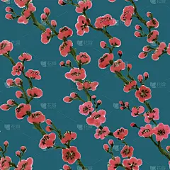 图案，纹理，手工笔刷。盛开的枝五月李树，樱花。墨水的图形图像。东方，中国，日本，韩国风格。彩色一套花