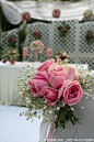 【维也纳婚礼】草坪婚礼照片-【维也纳婚礼】草坪婚礼图片-【维也纳婚礼】草坪婚礼素材