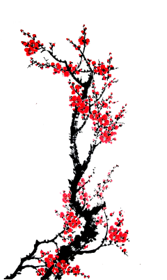 Mr小百万采集到梅花