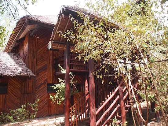 Mara Simba Lodge (马赛...