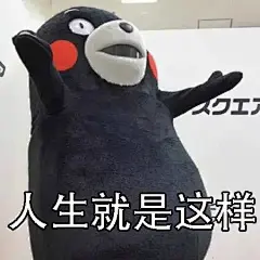 人生就是这样 - 熊本熊：人生就是起起落落落落落落落落的过程啊 - 斗图表情包 - 斗图神器 - adoutu.com