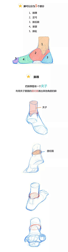 花步步采集到手脚