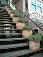 创意个性的室外楼梯台阶绿色植物摆盆 创意生活无处不在