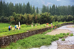 廖洪詩采集到村落