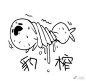 海豹表情包