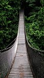 森林吊桥H5背景