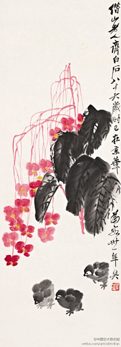 团子i采集到画