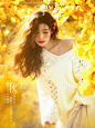这是我拍过最心动的秋日银杏写真啦～