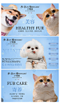 宠物店轮播海报banner-志设网-zs9.com