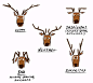 A quick try to set the antlers as a significant part of his facial expressions...