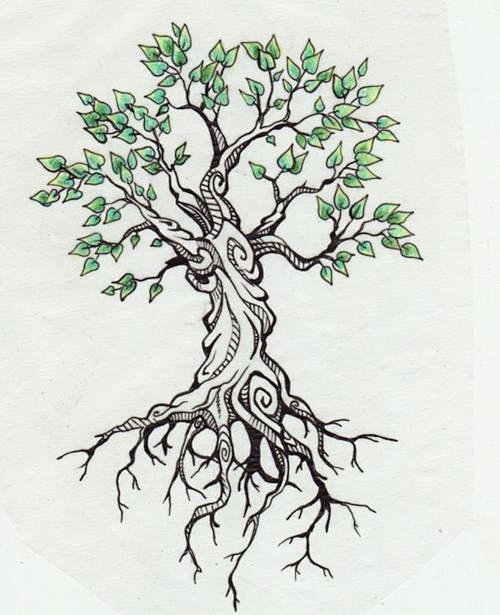 土壤下的树根简笔_百度图片搜索