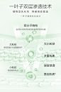 一叶子油橄榄B5修护屏障舒缓保湿补水色修泛红次抛精华双修小白盒-tmall.com天猫